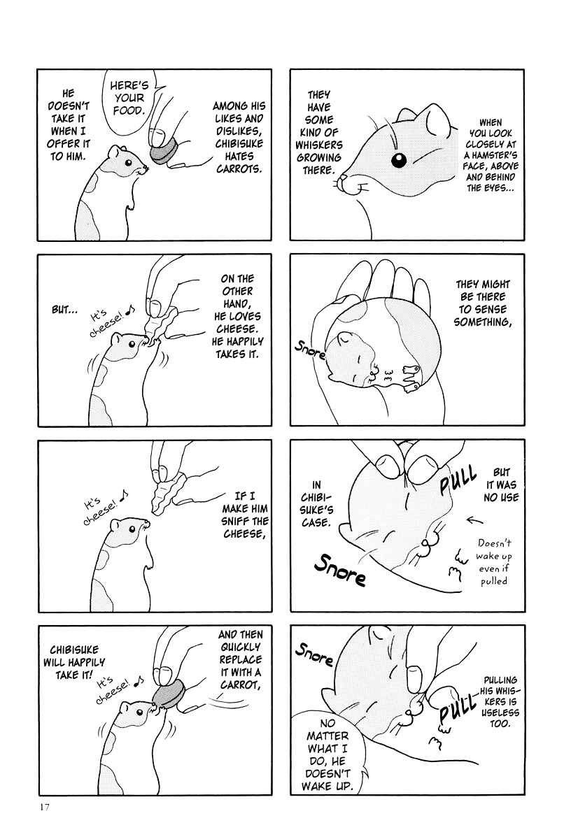 Page 2 Chapter 11 Hamster Research Report