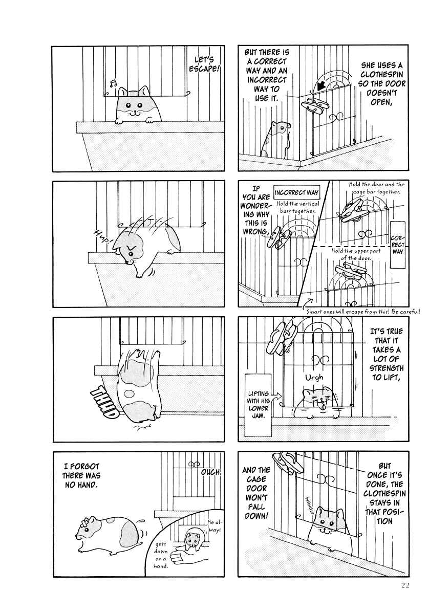 Page 2 Chapter 23 Hamster Research Report