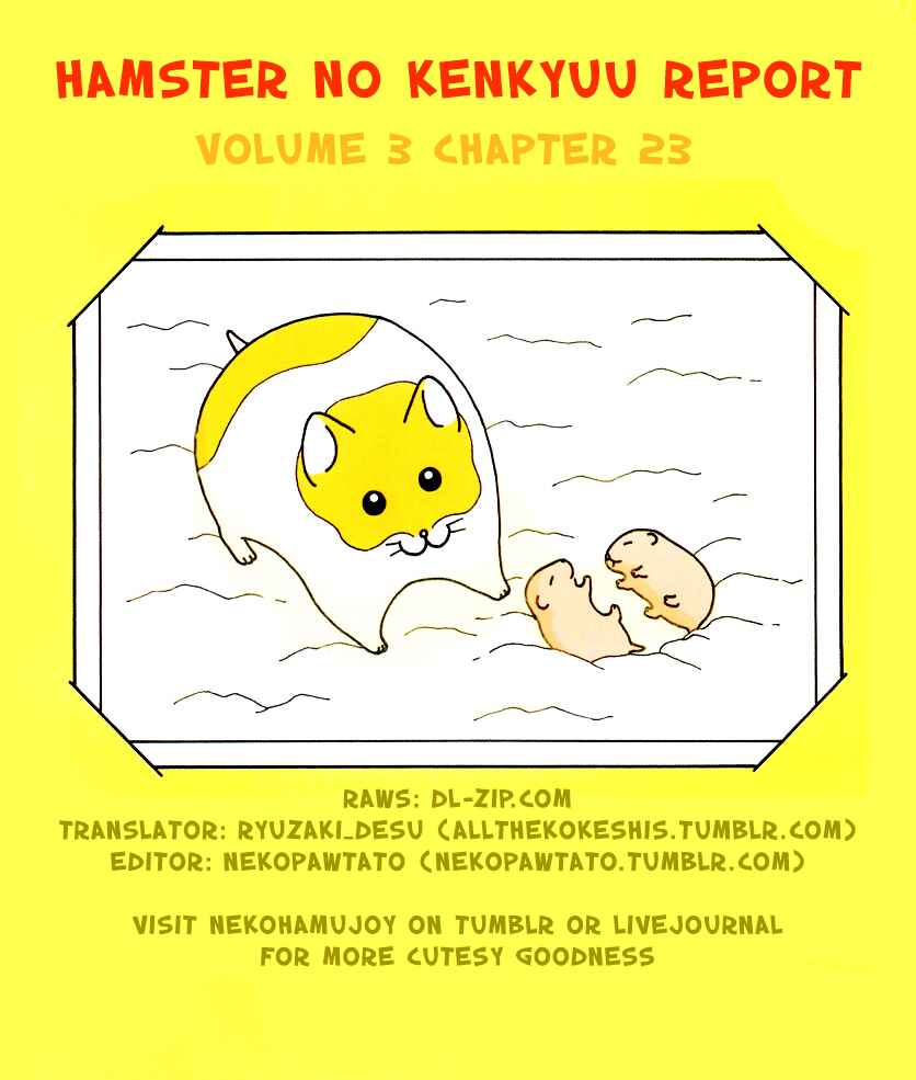 Page 9 Chapter 23 Hamster Research Report