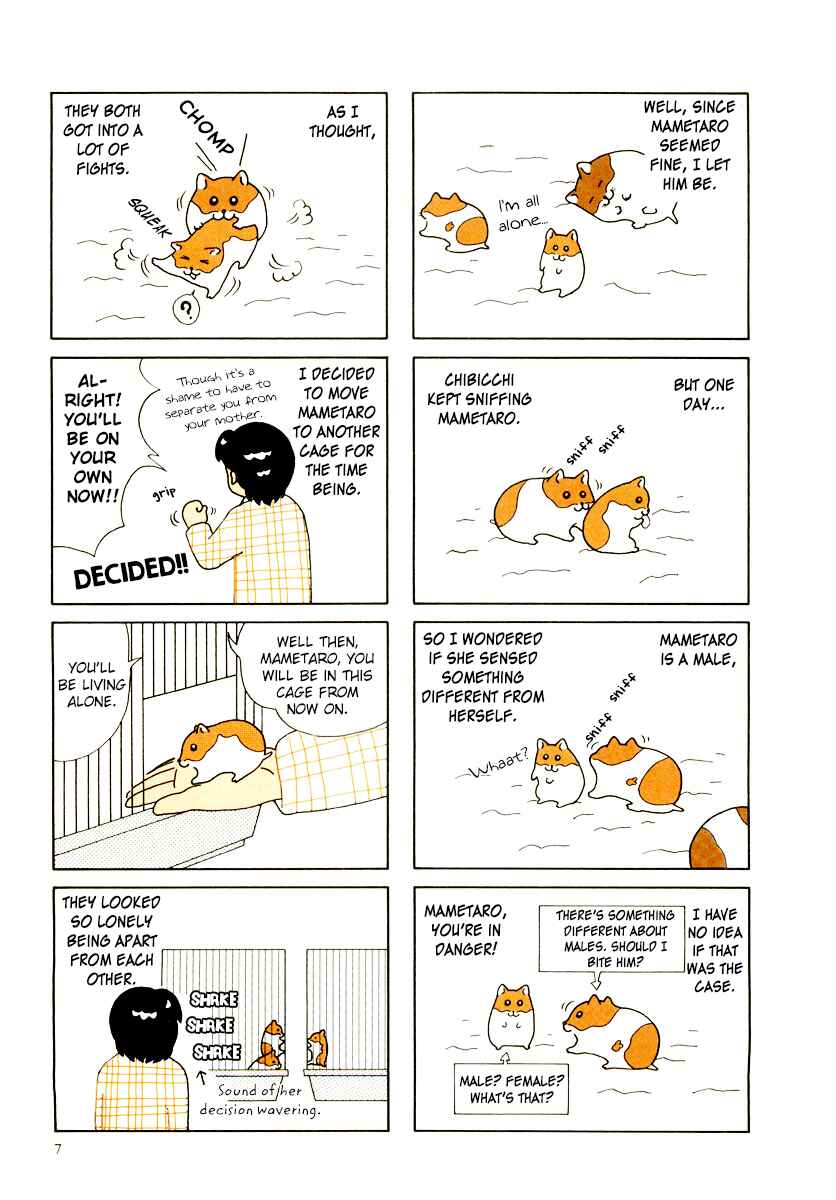 Page 10 Chapter 29 Hamster Research Report