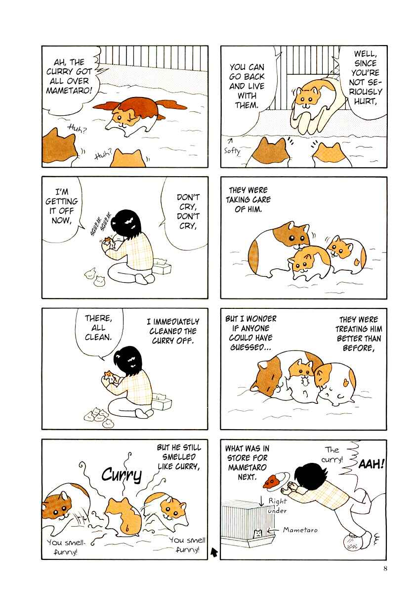 Page 11 Chapter 29 Hamster Research Report