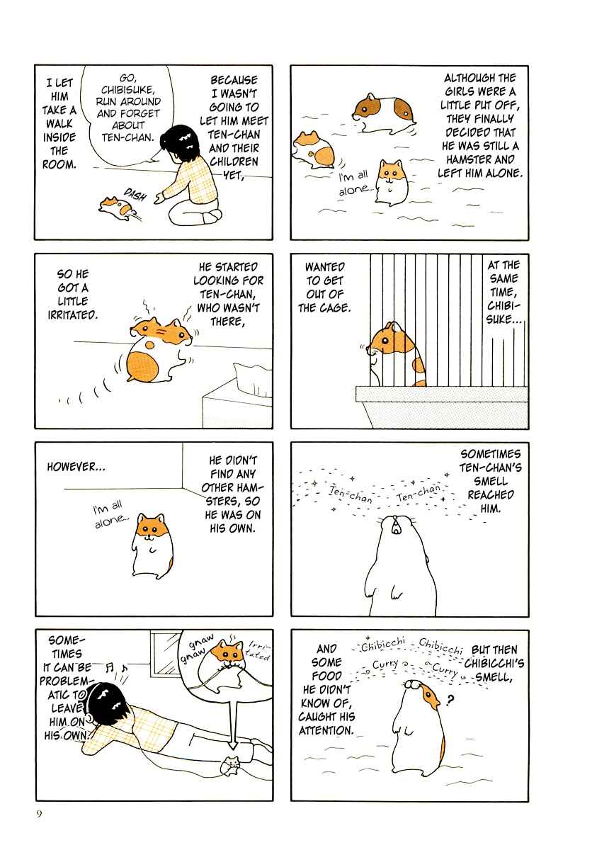 Page 12 Chapter 29 Hamster Research Report