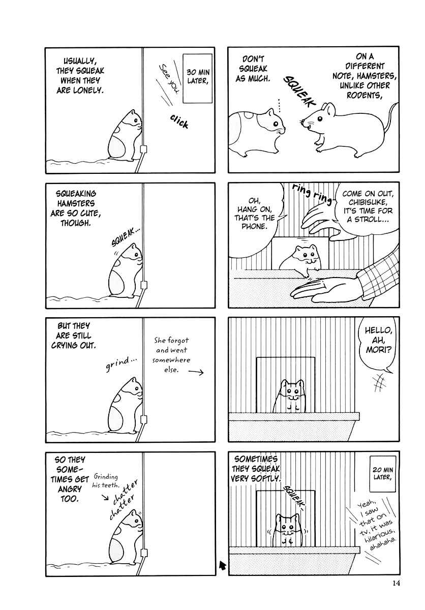 Page 17 Chapter 29 Hamster Research Report