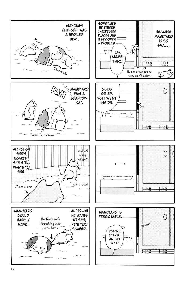 Page 20 Chapter 29 Hamster Research Report