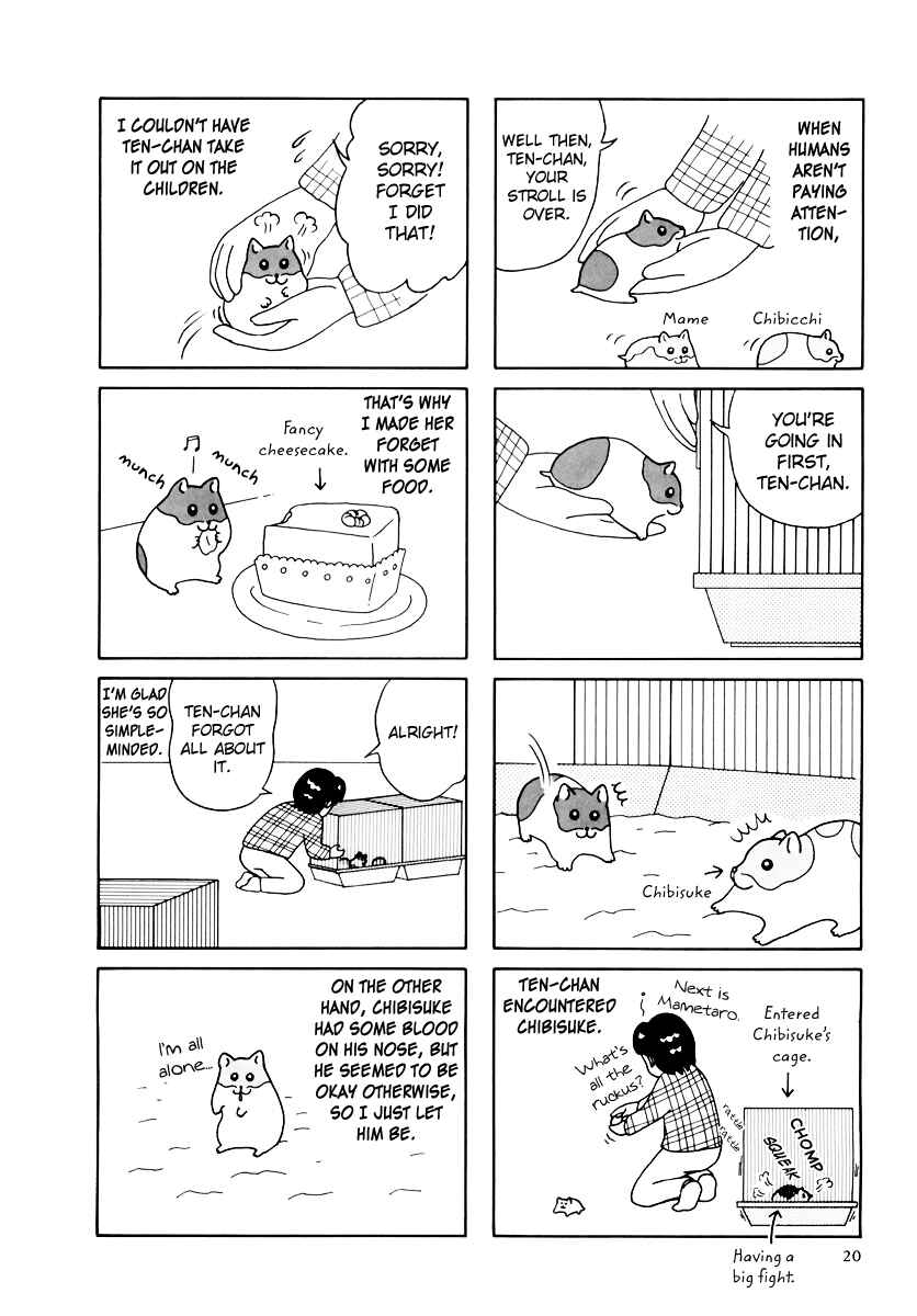 Page 23 Chapter 29 Hamster Research Report