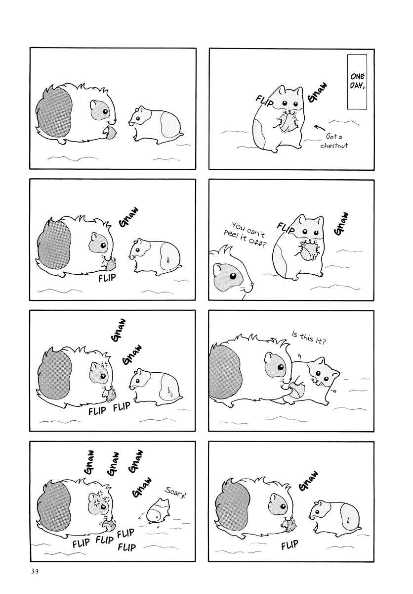Page 3 Chapter 15 Hamster Research Report