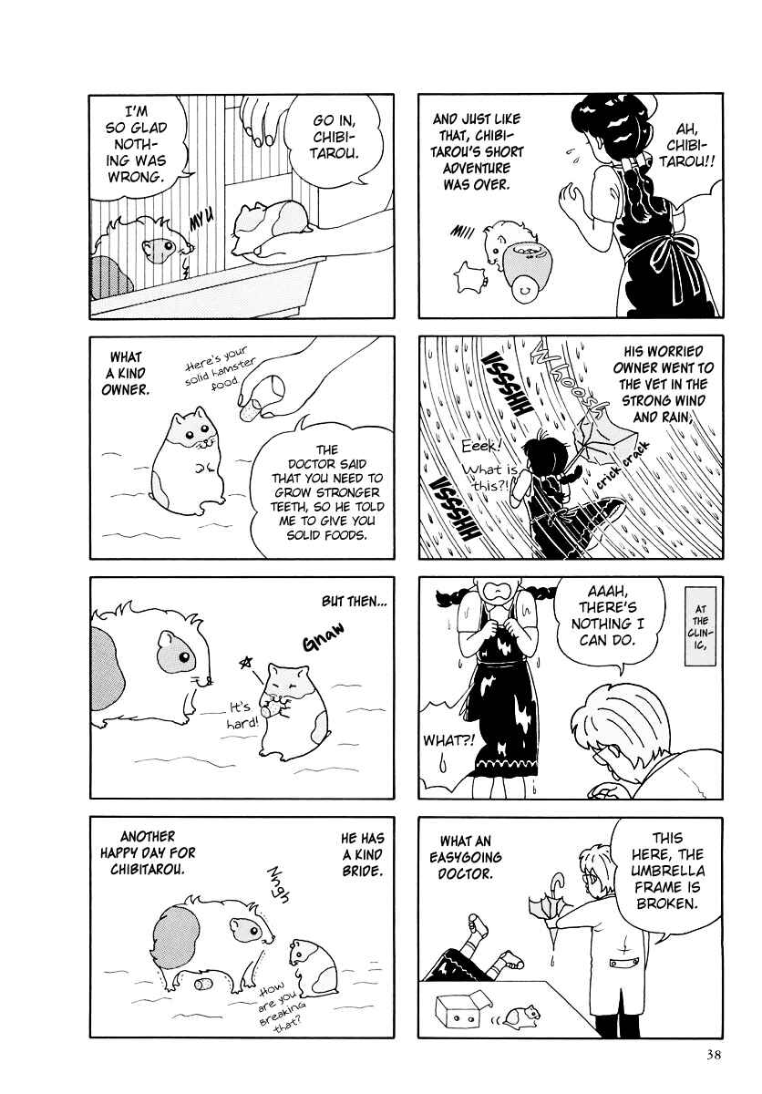 Page 8 Chapter 15 Hamster Research Report