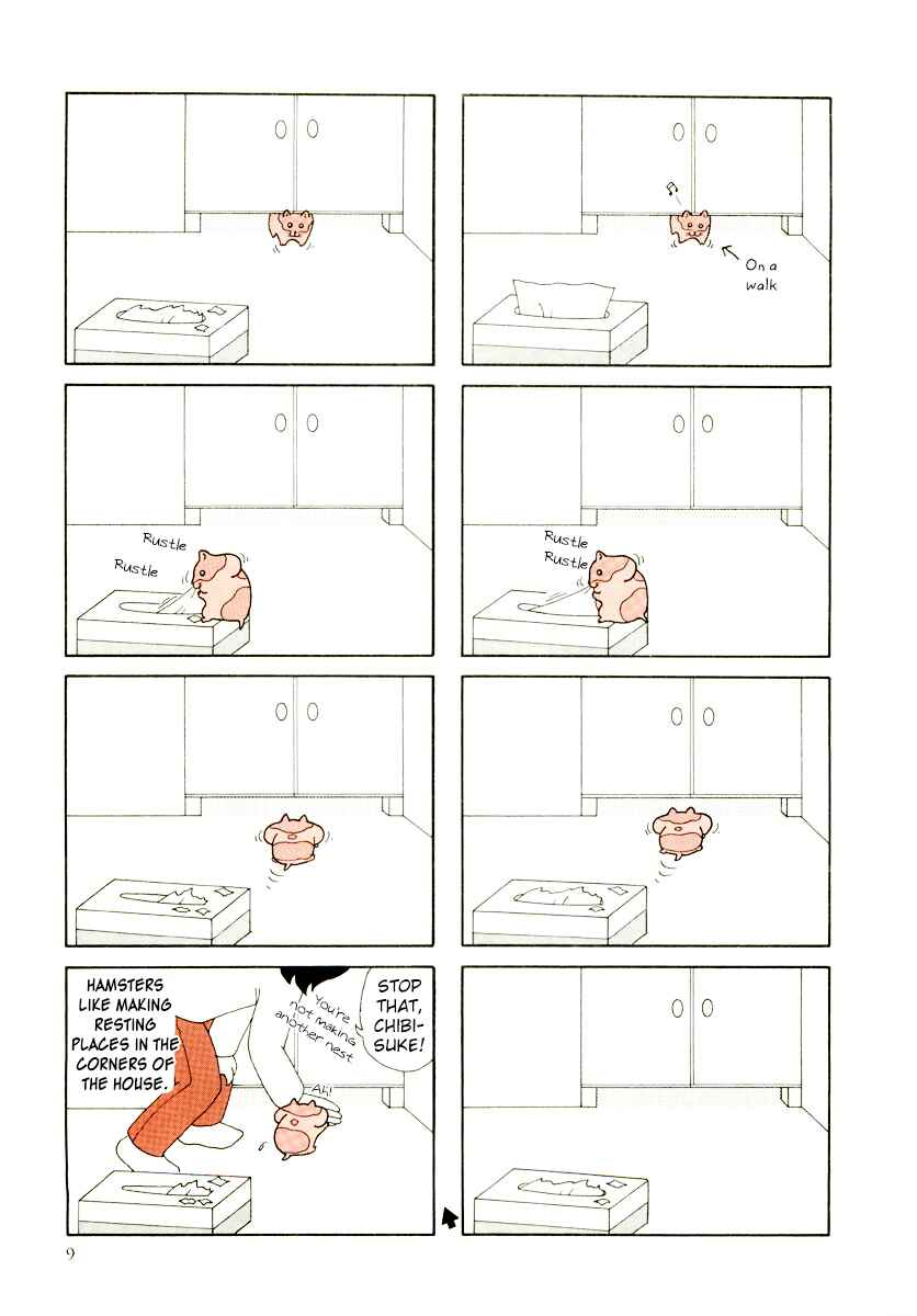 Page 13 Chapter 21 Hamster Research Report