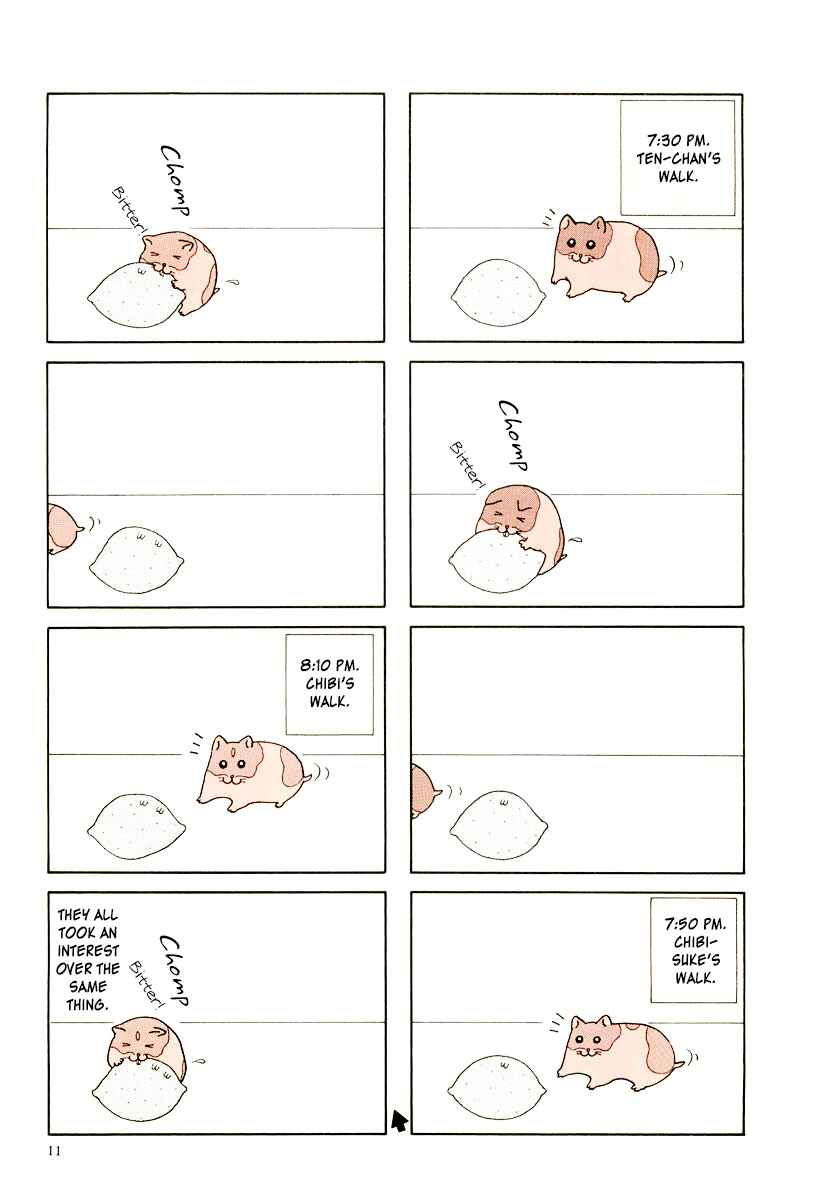 Page 15 Chapter 21 Hamster Research Report