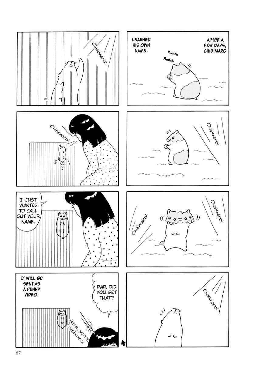 Page 13 Chapter 18 Hamster Research Report