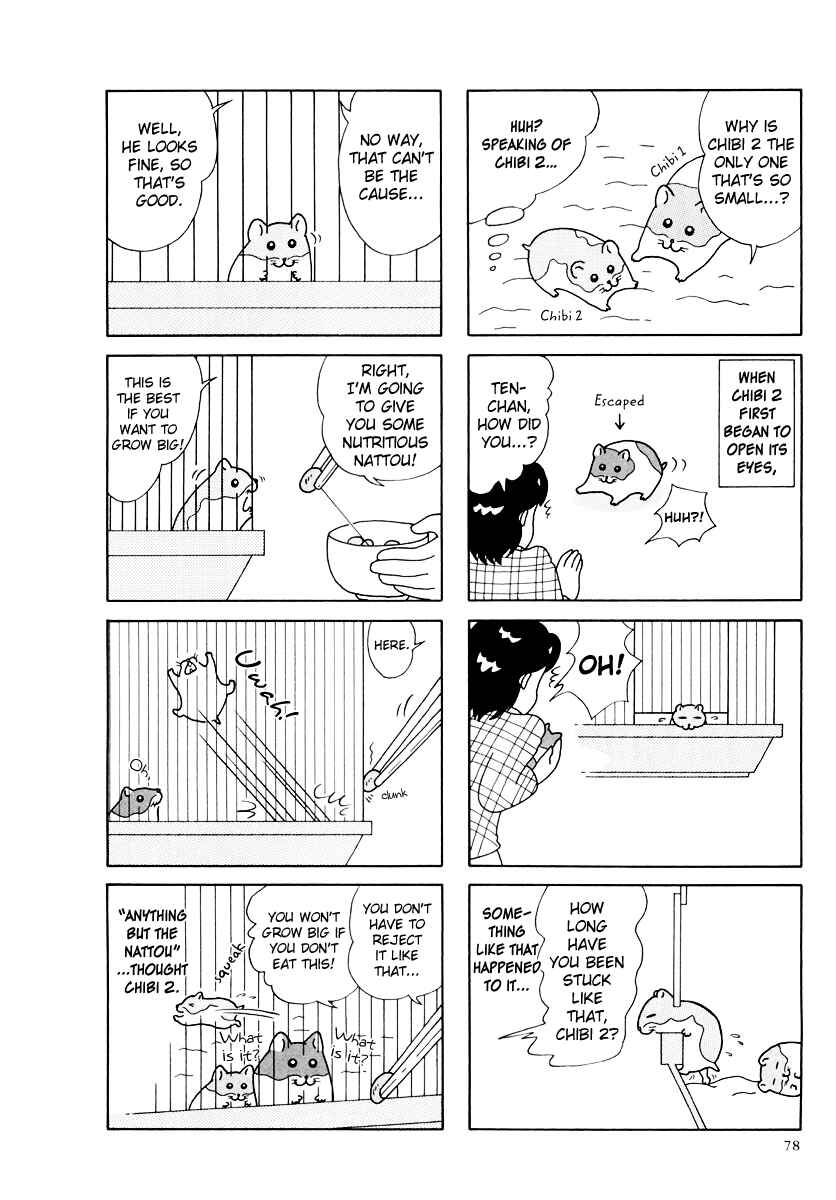 Page 2 Chapter 27 Hamster Research Report