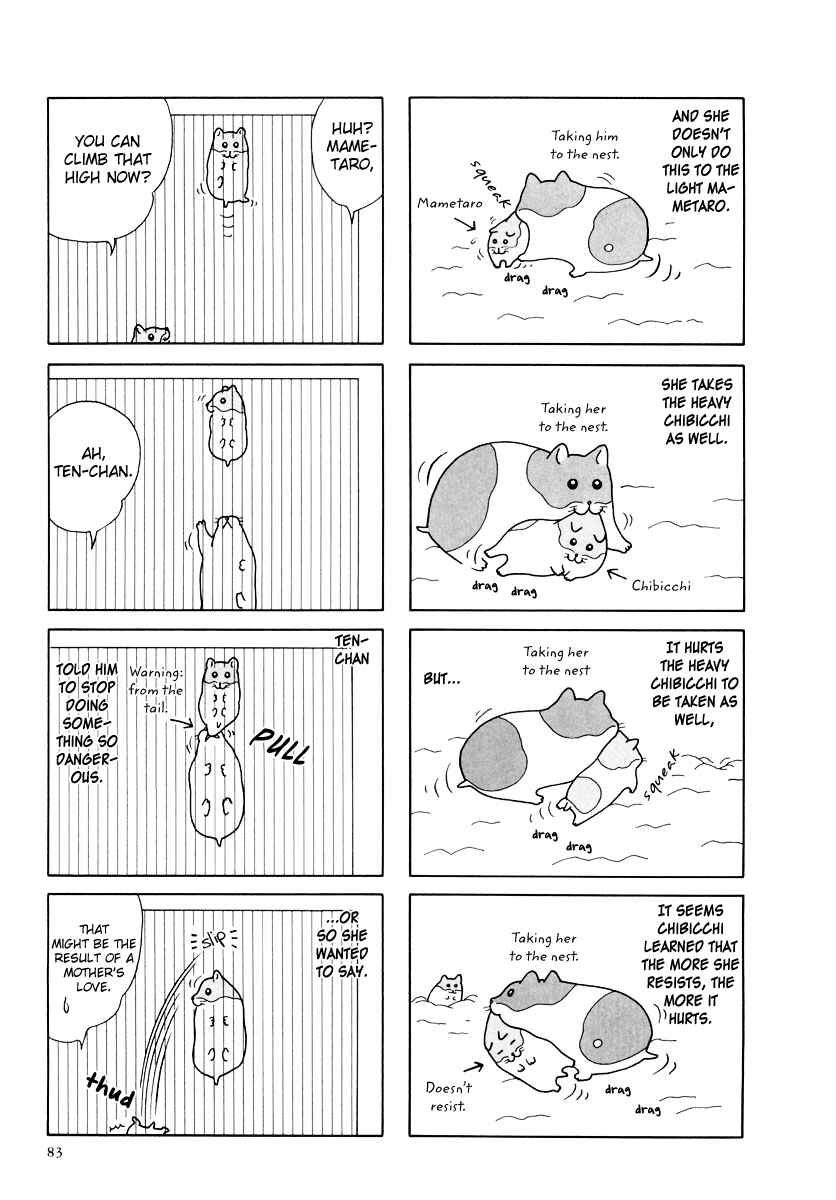 Page 7 Chapter 27 Hamster Research Report