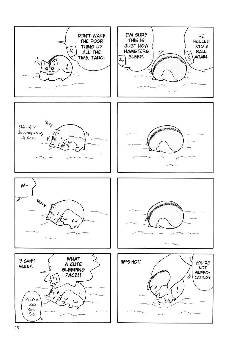 Page 9 Chapter 30 Hamster Research Report