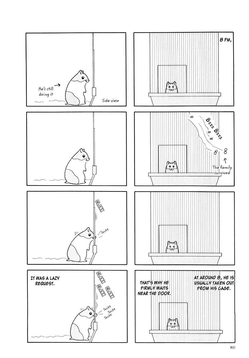 Page 10 Chapter 19 Hamster Research Report