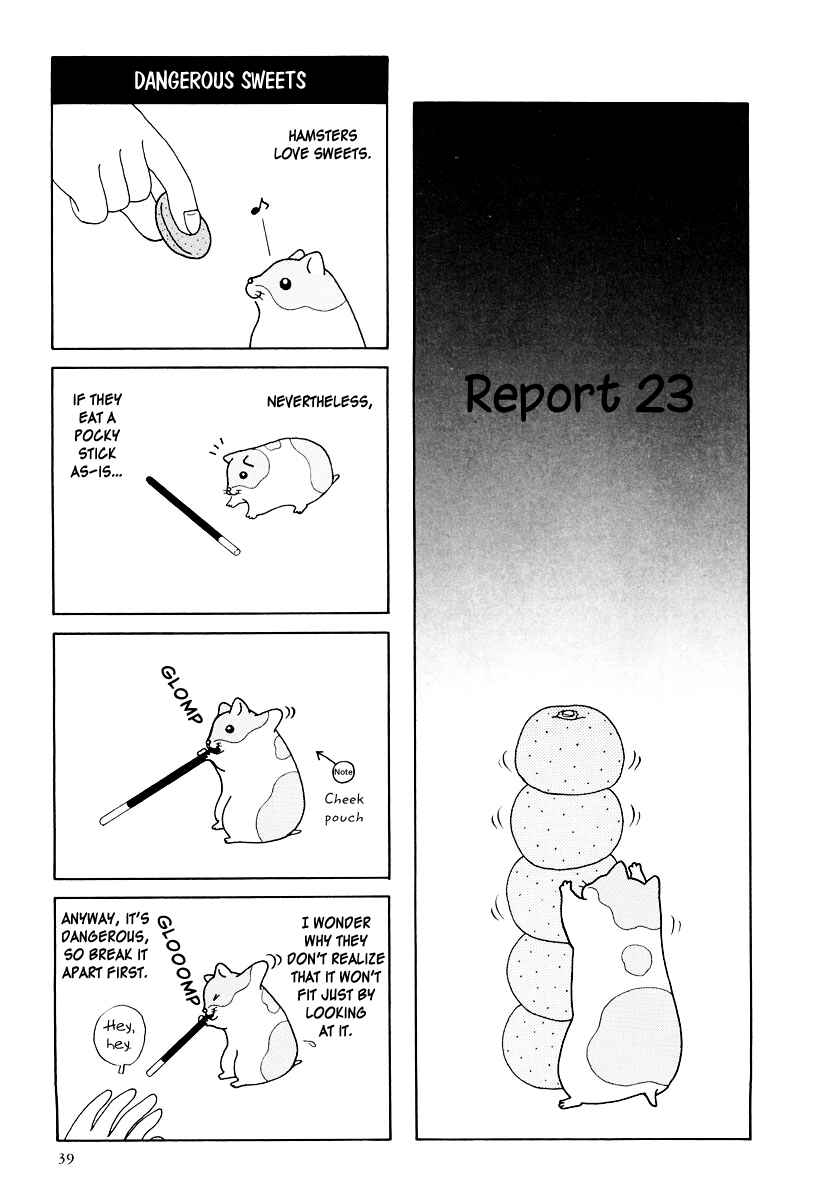 Page 1 Chapter 16 Hamster Research Report