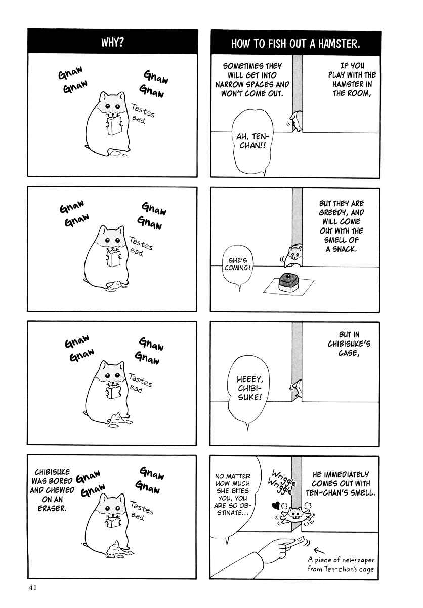 Page 3 Chapter 16 Hamster Research Report