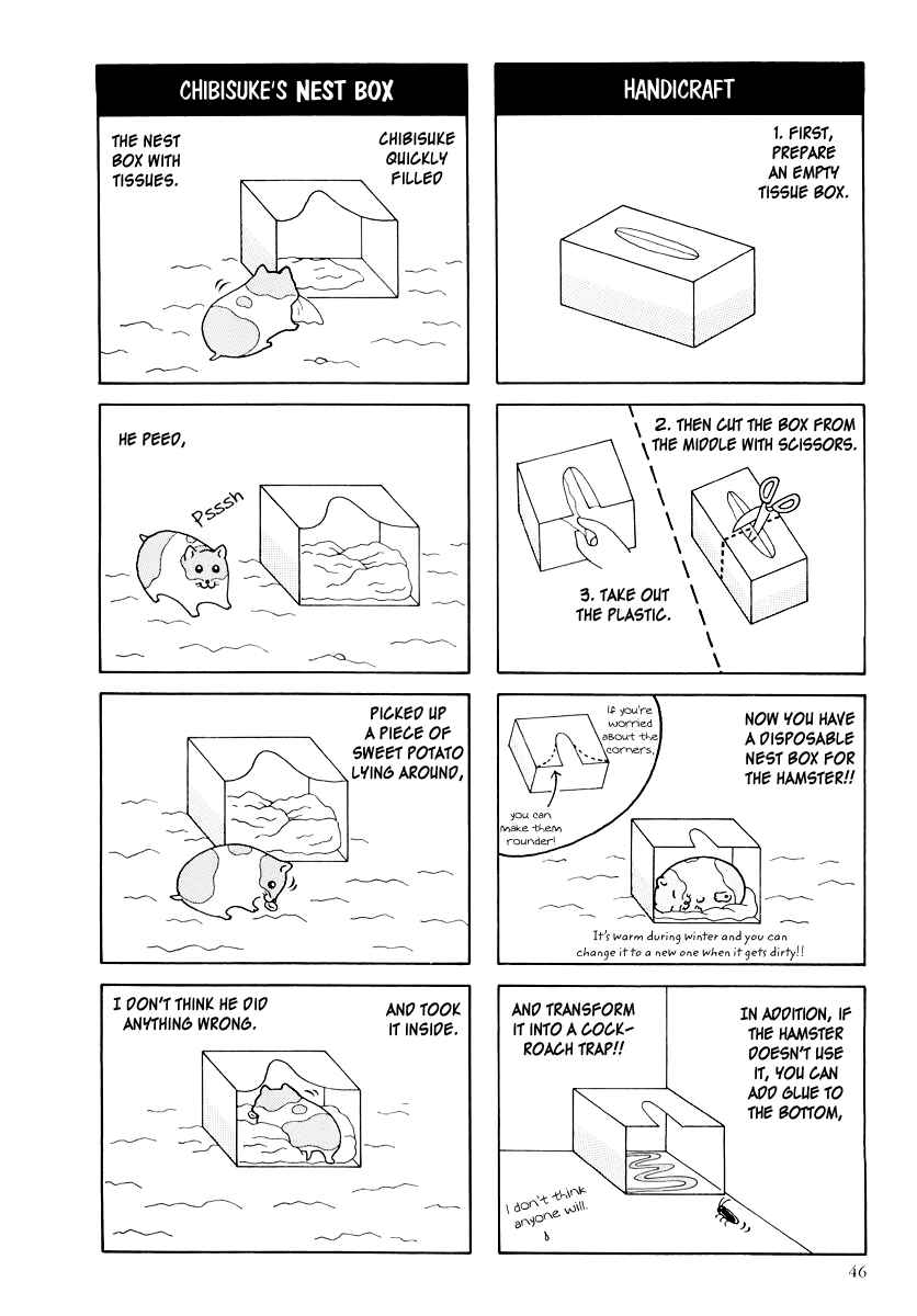 Page 8 Chapter 16 Hamster Research Report