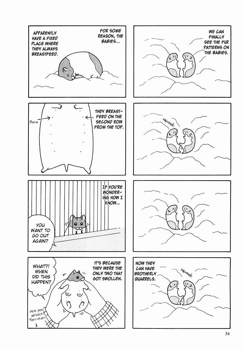 Page 10 Chapter 24 Hamster Research Report