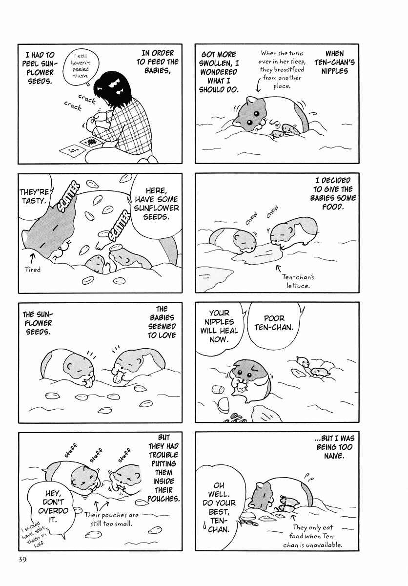 Page 11 Chapter 24 Hamster Research Report