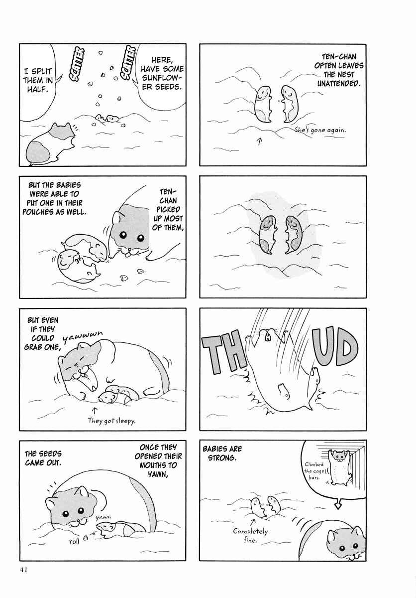 Page 13 Chapter 24 Hamster Research Report