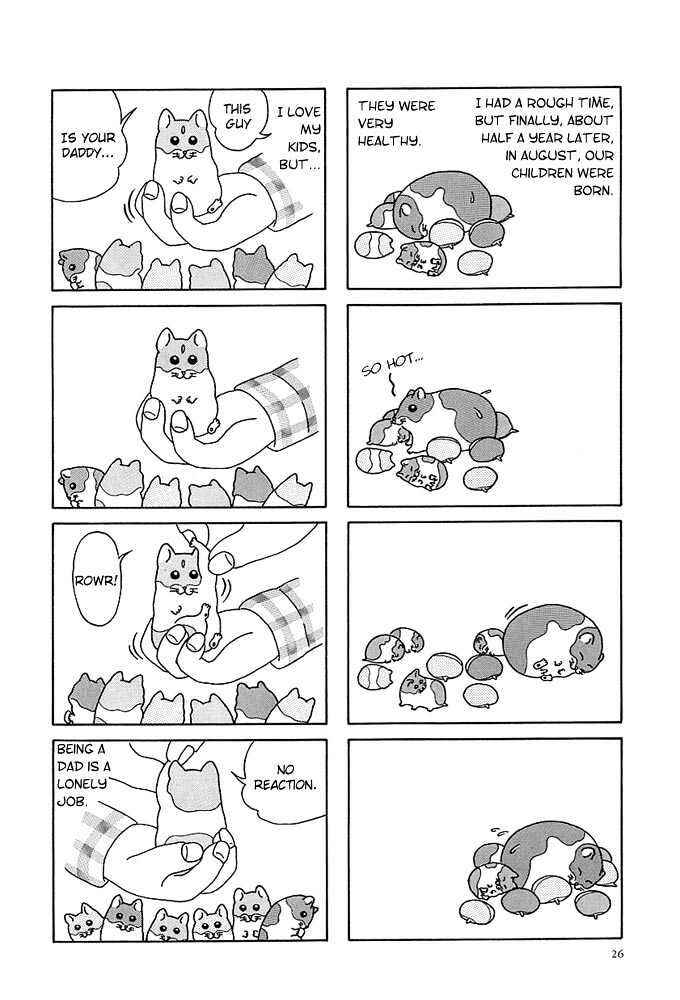Page 4 Chapter 3 Hamster Research Report