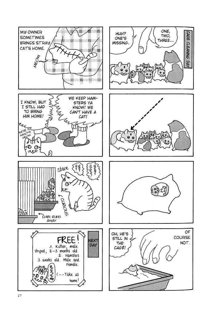 Page 5 Chapter 3 Hamster Research Report