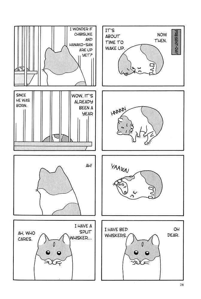 Page 6 Chapter 3 Hamster Research Report