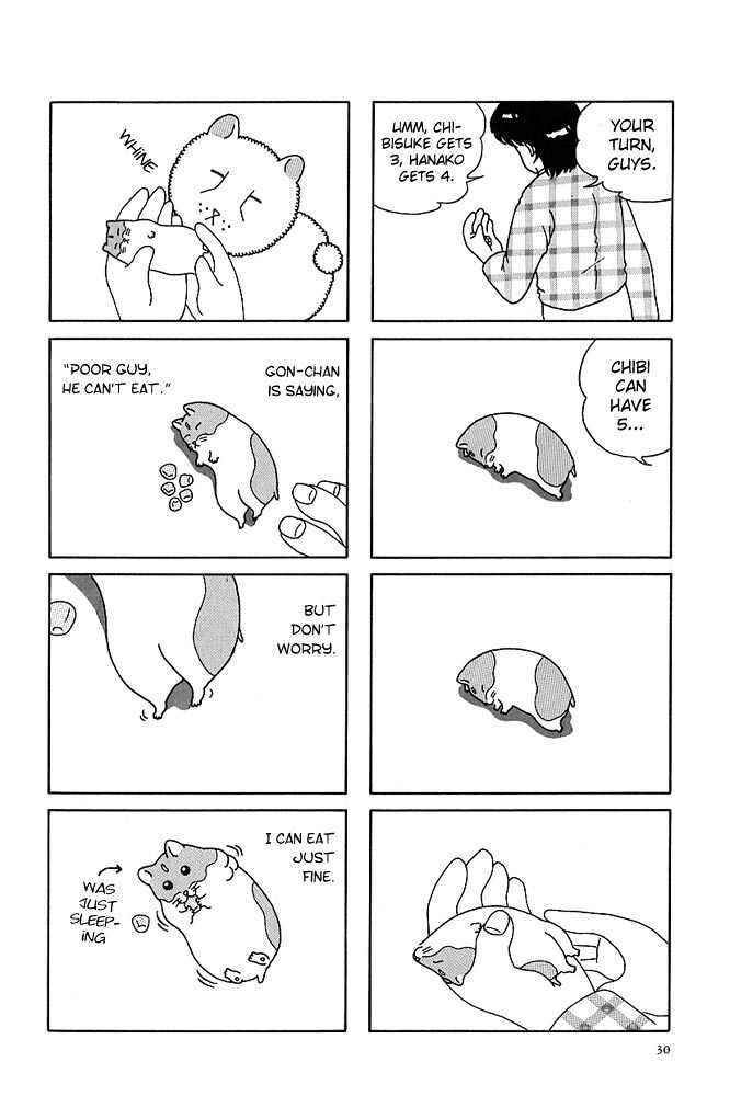 Page 8 Chapter 3 Hamster Research Report