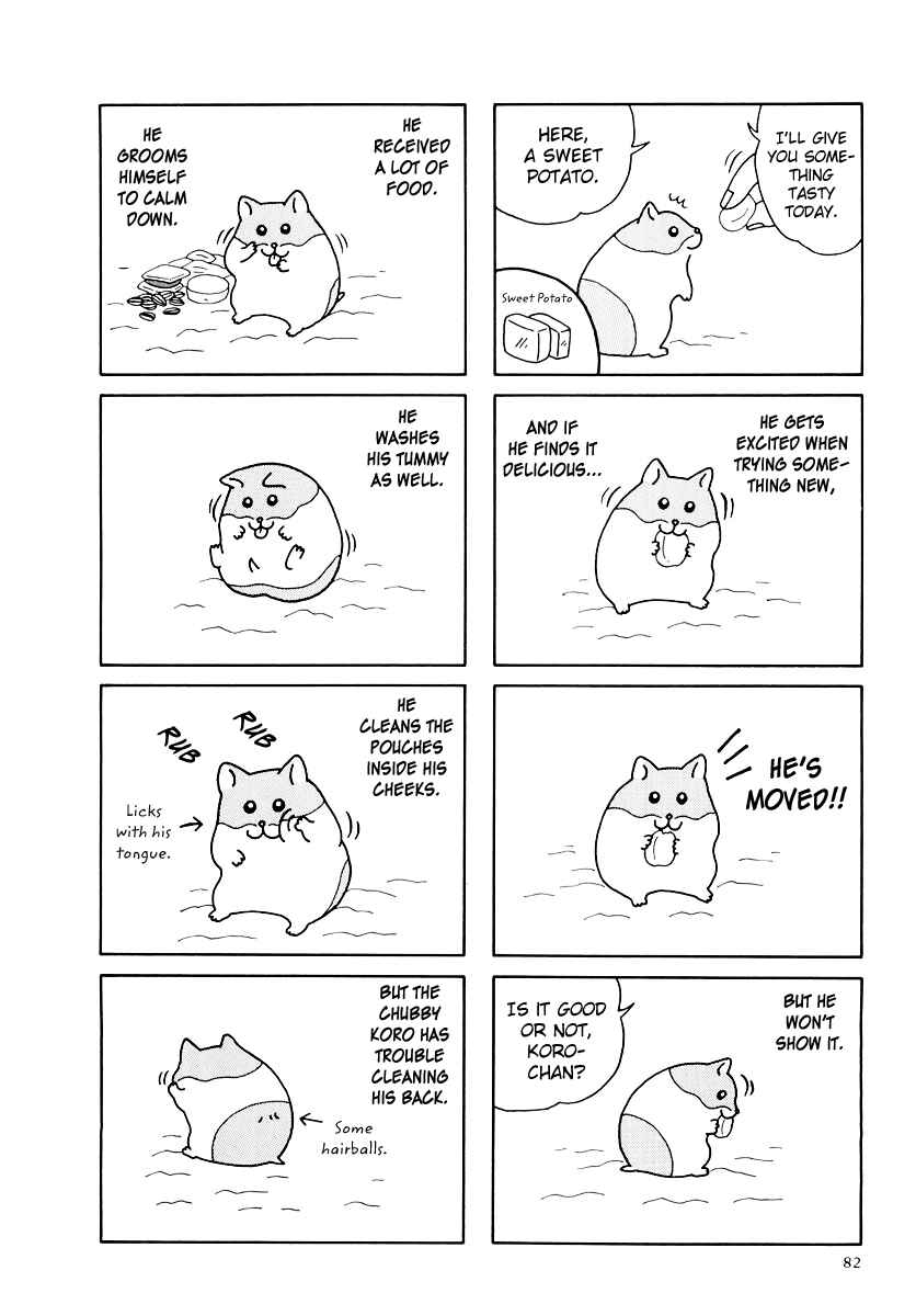 Page 14 Chapter 33 Hamster Research Report