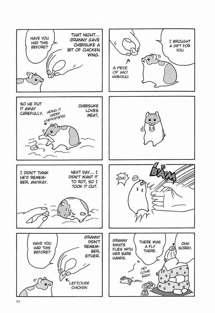 Page 10 Chapter 6 Hamster Research Report
