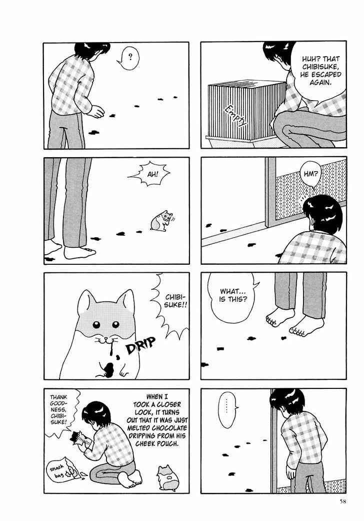 Page 13 Chapter 6 Hamster Research Report