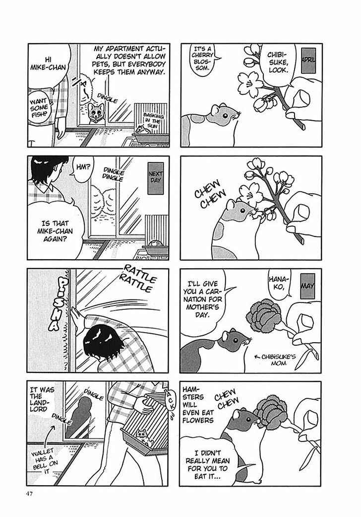 Page 2 Chapter 6 Hamster Research Report