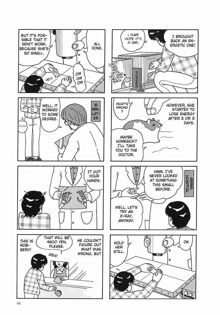 Page 4 Chapter 6 Hamster Research Report