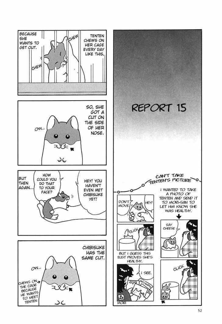 Page 7 Chapter 6 Hamster Research Report