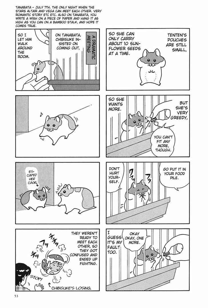 Page 8 Chapter 6 Hamster Research Report