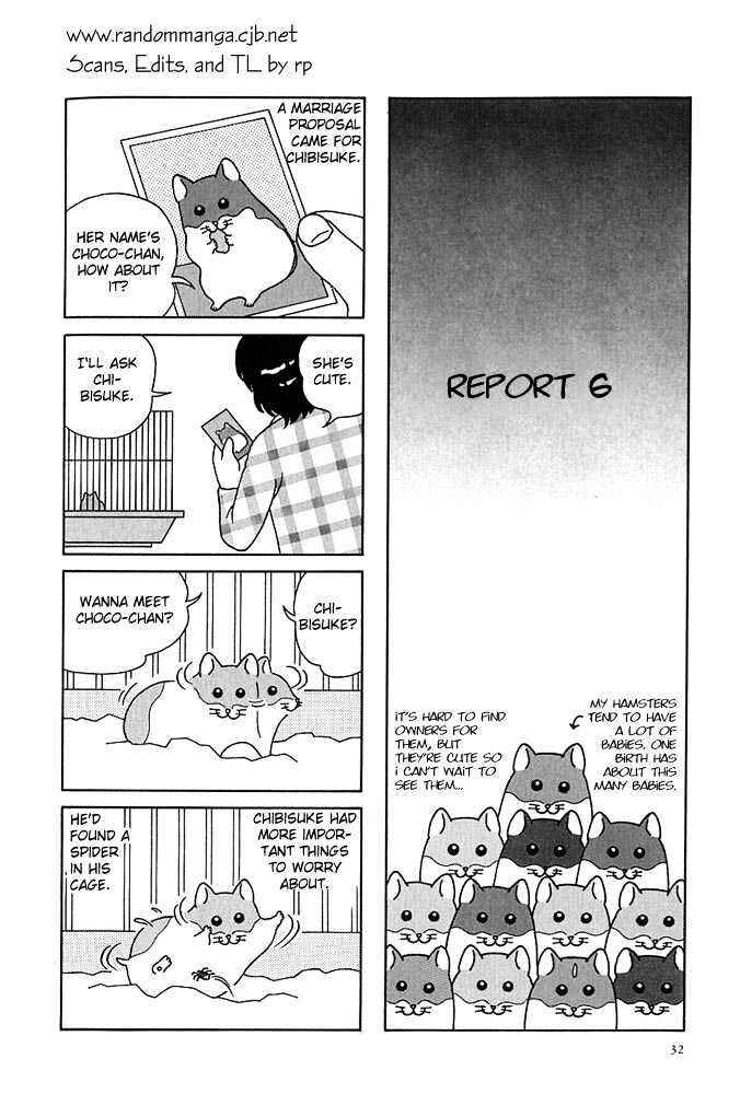 Page 1 Chapter 4 Hamster Research Report