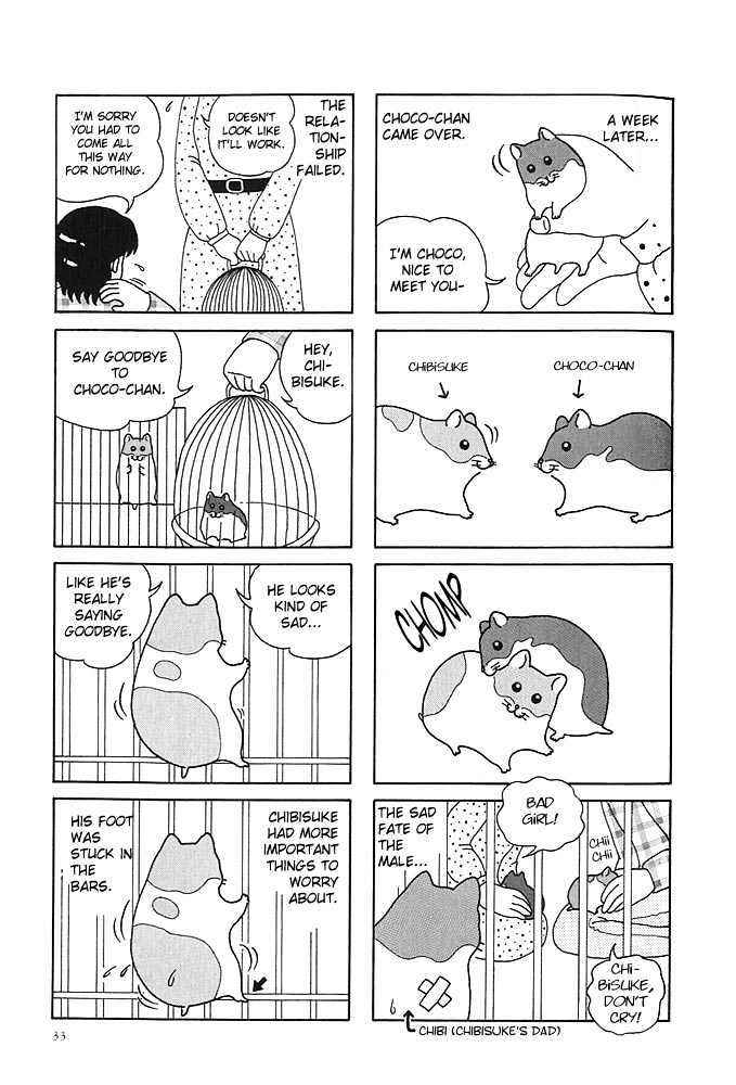 Page 2 Chapter 4 Hamster Research Report