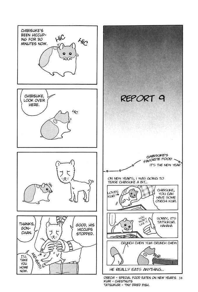 Page 7 Chapter 4 Hamster Research Report