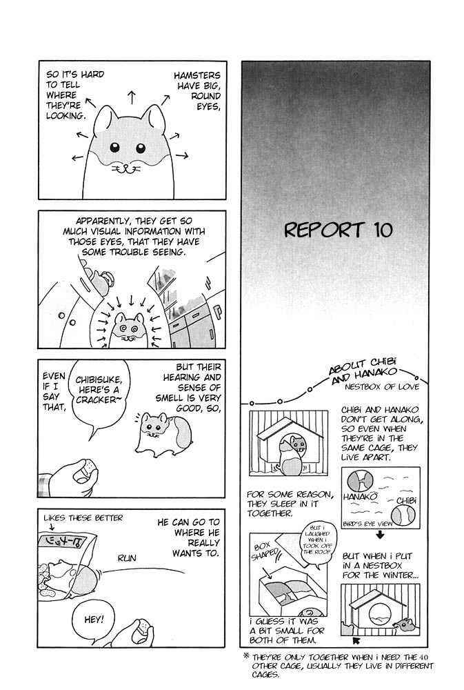 Page 9 Chapter 4 Hamster Research Report