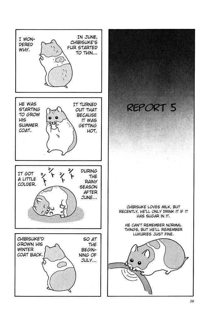 Page 7 Chapter 2 Hamster Research Report