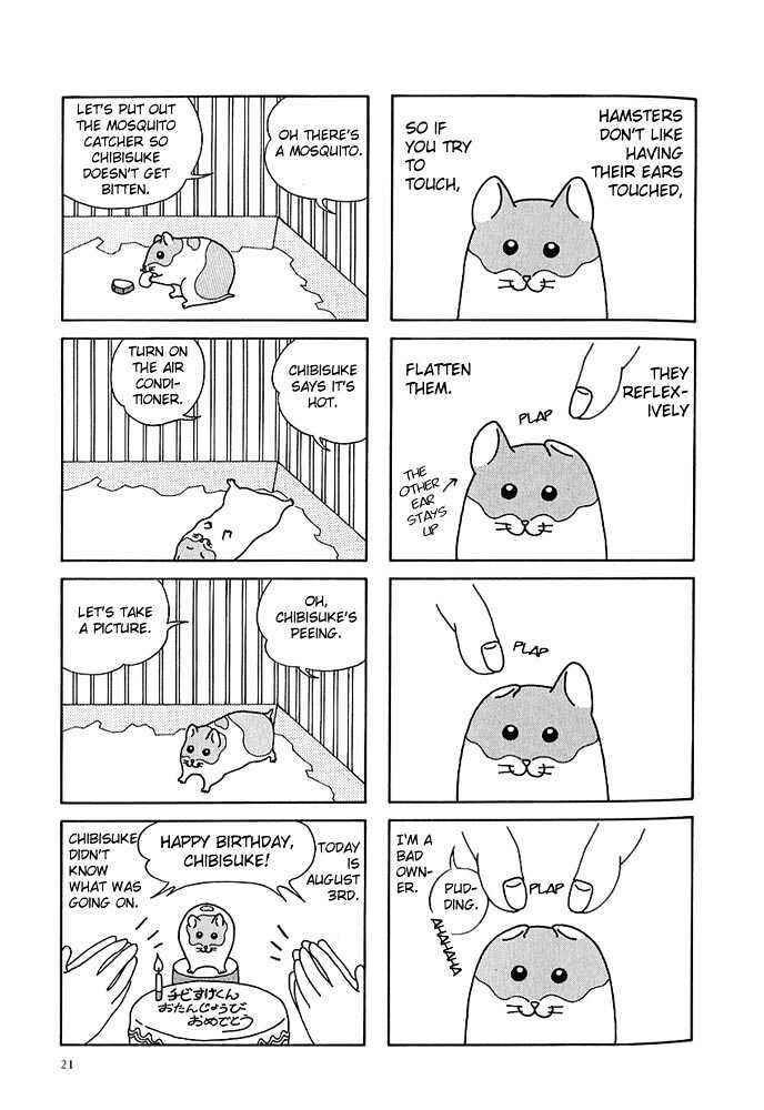 Page 8 Chapter 2 Hamster Research Report