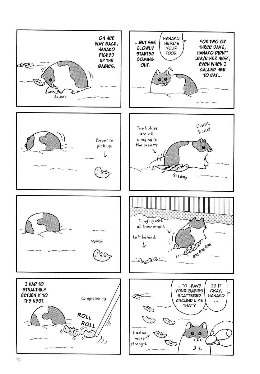 Page 3 Chapter 8 Hamster Research Report