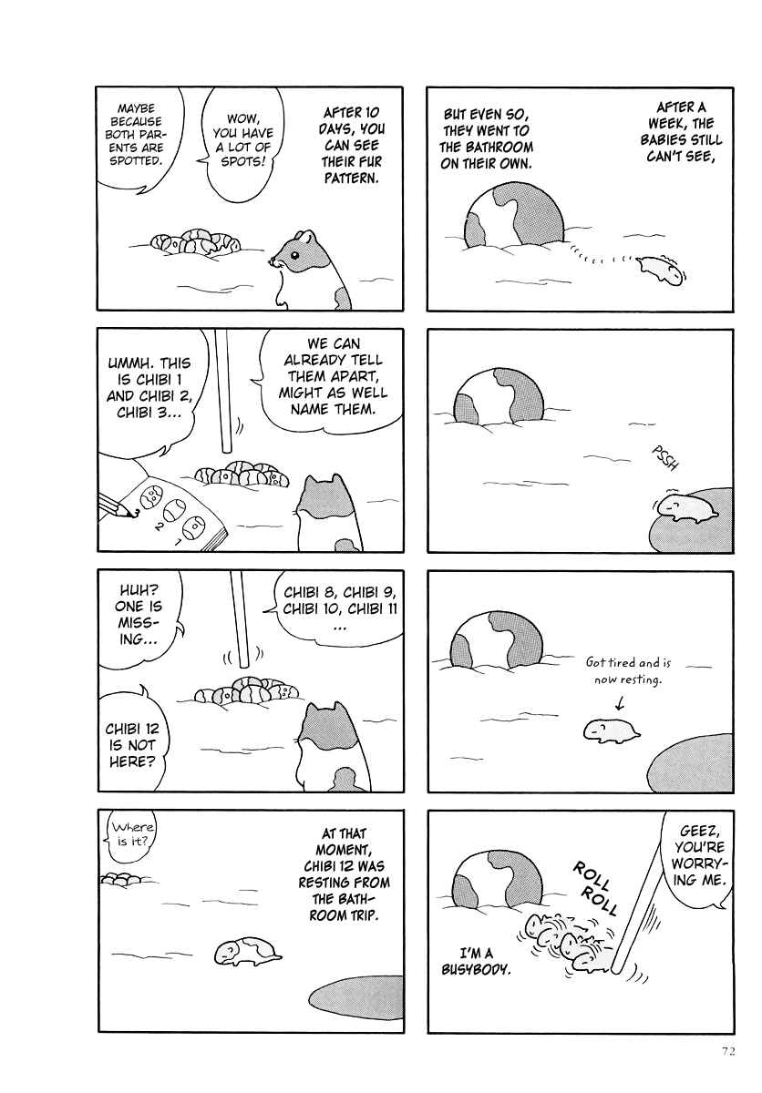 Page 4 Chapter 8 Hamster Research Report