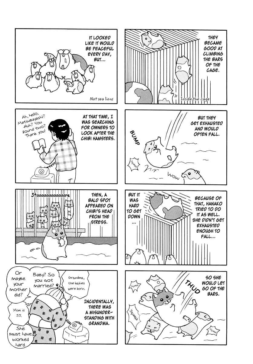 Page 7 Chapter 8 Hamster Research Report