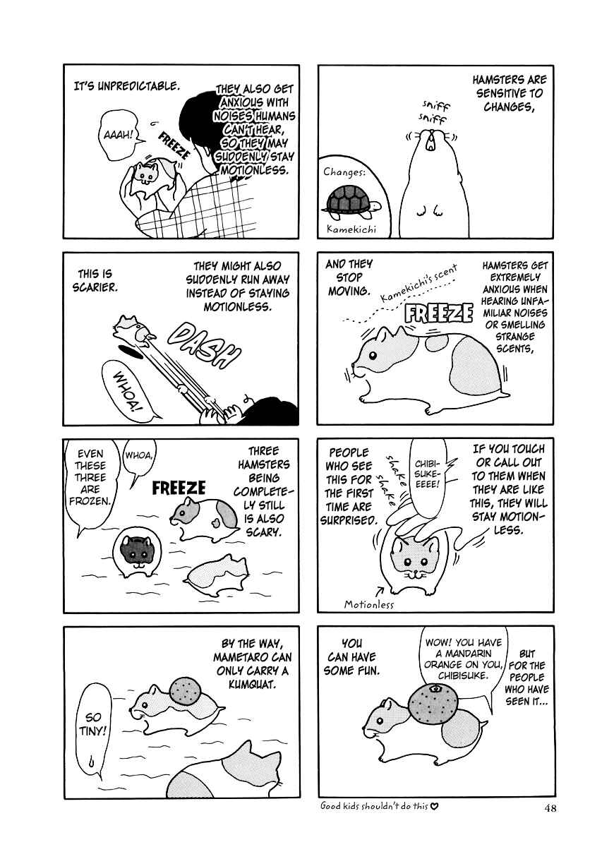 Page 12 Chapter 31 Hamster Research Report