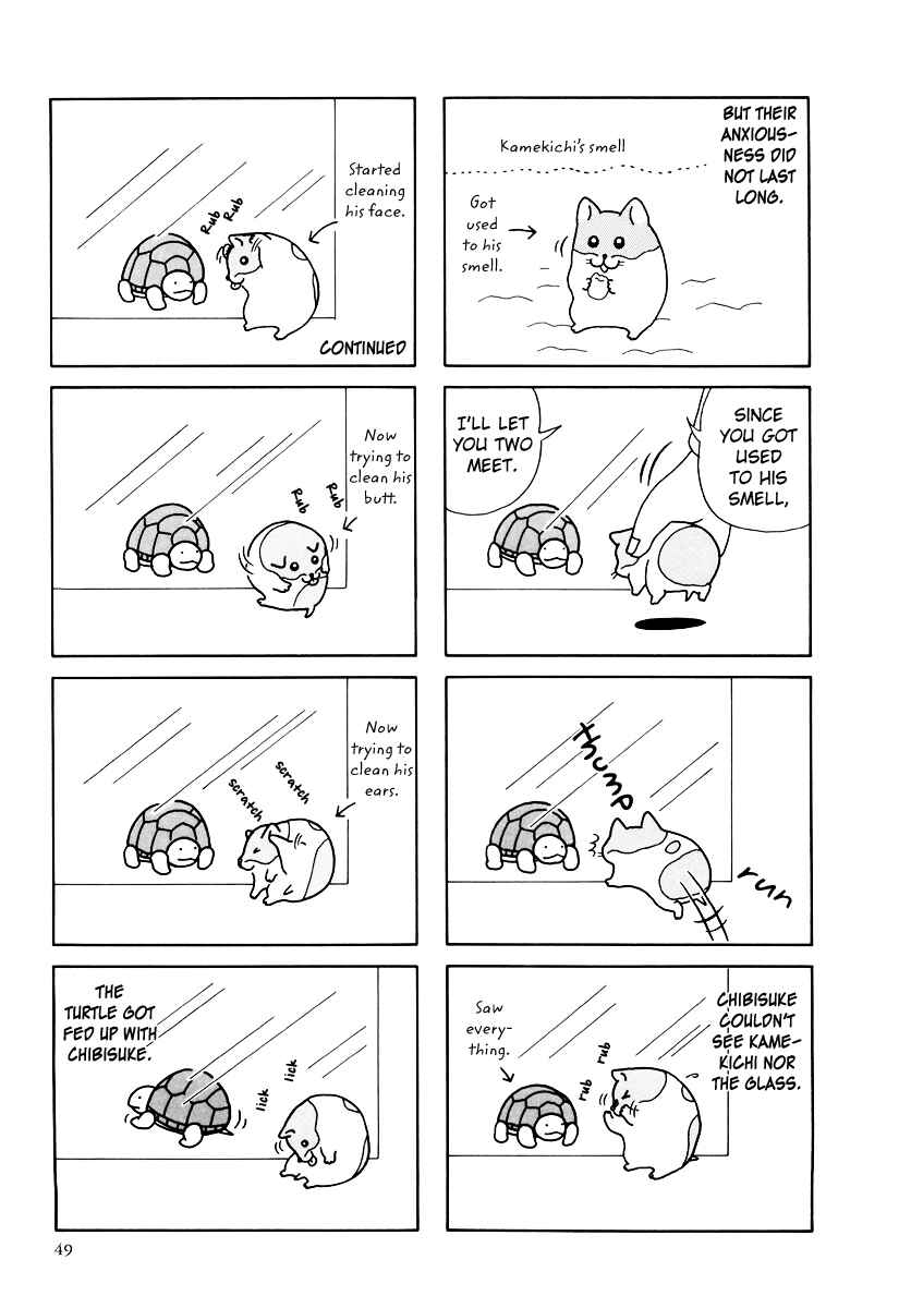 Page 13 Chapter 31 Hamster Research Report