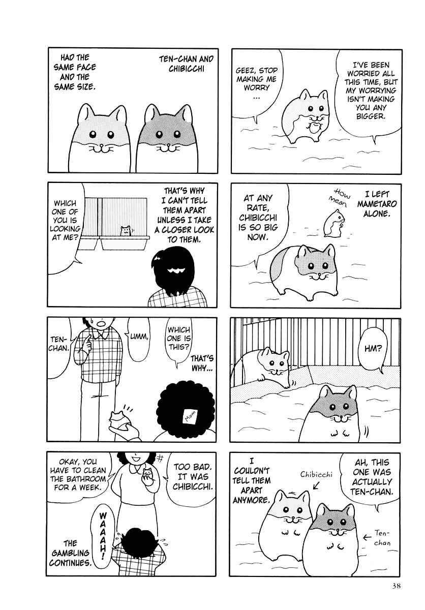 Page 2 Chapter 31 Hamster Research Report