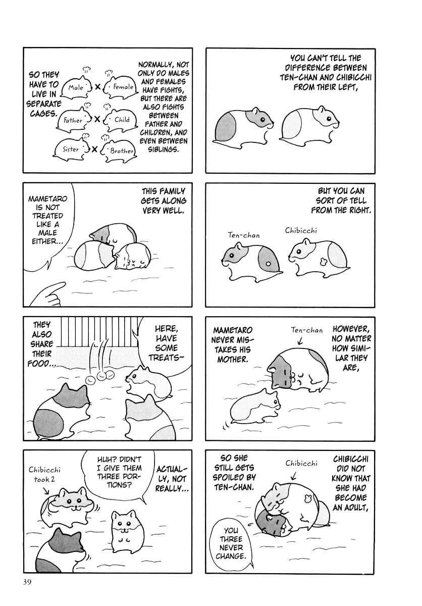 Page 3 Chapter 31 Hamster Research Report