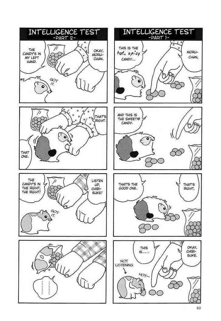 Page 2 Chapter 7 Hamster Research Report
