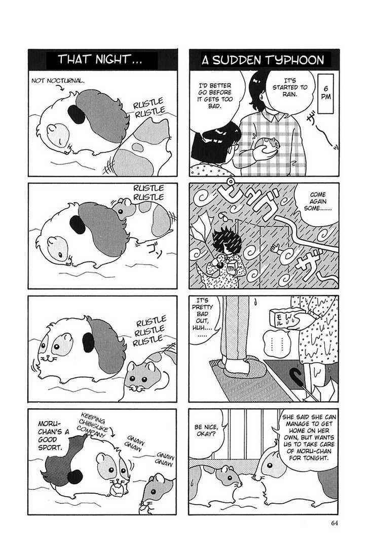Page 4 Chapter 7 Hamster Research Report